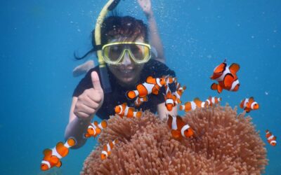Berenang dengan nemo