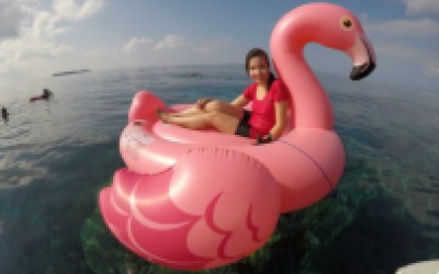 Bermain Flamingo