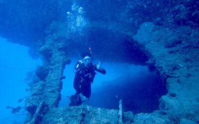 Pengalaman Wisata Takterlupakan Karimunjawa