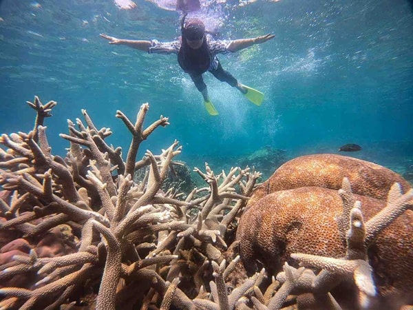 Open Trip Karimunjawa Jadi Pilihan Favorit Traveler Indonesia