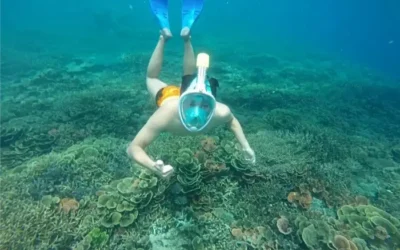 Liburan Murah ke Karimunjawa? Pilih Open Trip dengan Fasilitas Lengkap