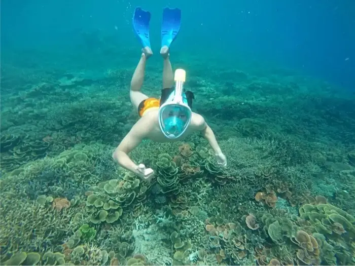 Liburan Open Trip Karimunjawa