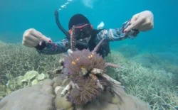 gallery wisata ke-10