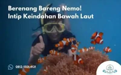 Berenang Bareng Nemo! Intip Keindahan Bawah Laut