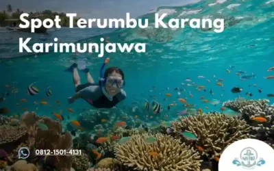 Spot Terumbu Karang Karimunjawa Paling Indah: Surga Tersembunyi yang Masih Alami