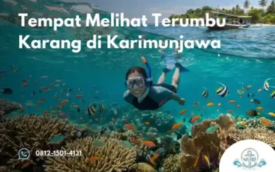 Tempat Melihat Terumbu Karang di Karimunjawa