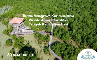 Hutan Mangrove Karimunjawa Wisata Alam Edukatif di Tengah Keindahan Laut