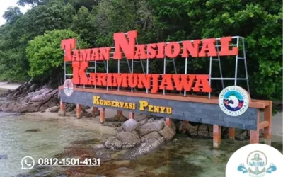 Karimunjawa National Park Keindahan Taman Laut yang Wajib Kamu Jelajahi