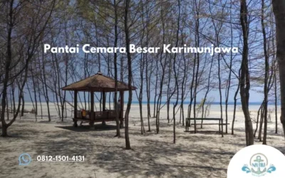 Pantai Cemara Besar Karimunjawa Surga Pasir Putih dengan Laut Jernih