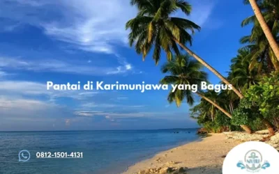 Pantai di Karimunjawa yang Bagus Pilihan Terbaik Menikmati Keindahan Tanjung Gelam