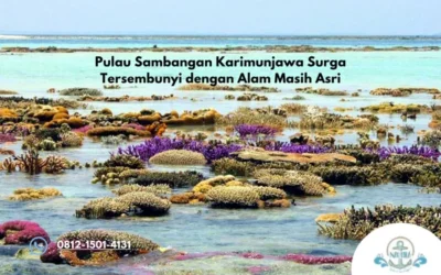 Pulau Sambangan Karimunjawa Surga Tersembunyi dengan Alam Masih Asri