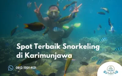 Tempat Snorkeling di Karimunjawa Spot Terbaik dengan Air Jernih