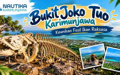 Bukit Joko Tuo Karimunjawa: Keunikan Fosil Ikan Raksasa