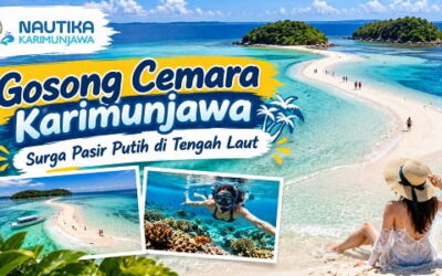 Gosong Cemara Karimunjawa: Surga Pasir Putih di Tengah Laut