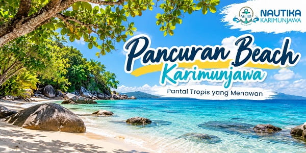 Pancuran Beach Karimunjawa dengan laut jernih, pasir putih, dan pepohonan tropis
