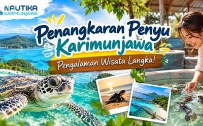 Penangkaran Penyu Karimunjawa, Pengalaman Wisata Langka!