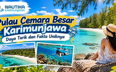 Pulau Cemara Besar Karimunjawa: Daya Tarik dan Fakta Uniknya
