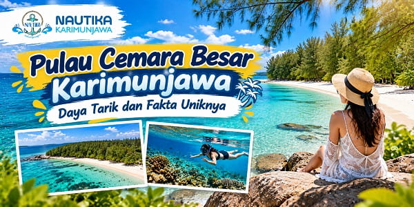Pulau Cemara Besar Karimunjawa: Daya Tarik dan Fakta Uniknya