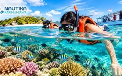 Paket Snorkeling Menjangan Karimunjawa untuk Pecinta Wisata Laut