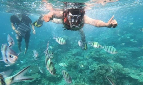 Keindahan Bawah Laut yang Membuat Takjub