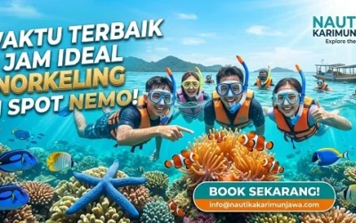 Kapan Waktu Terbaik Ke Spot Nemo Karimunjawa? Cek Disini!