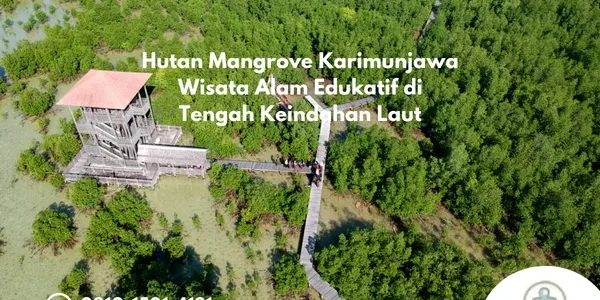 Hutan Mangrove Karimunjawa Wisata Alam Edukatif di Tengah Keindahan Laut