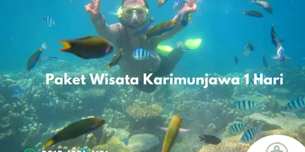 Paket Wisata Karimunjawa 1 Hari