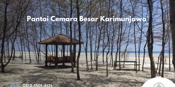 Pantai Cemara Besar Karimunjawa Surga Pasir Putih dengan Laut Jernih
