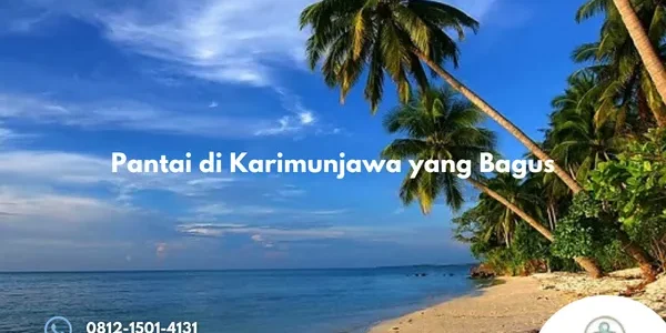 Pantai di Karimunjawa yang Bagus Pilihan Terbaik Menikmati Keindahan Tanjung Gelam