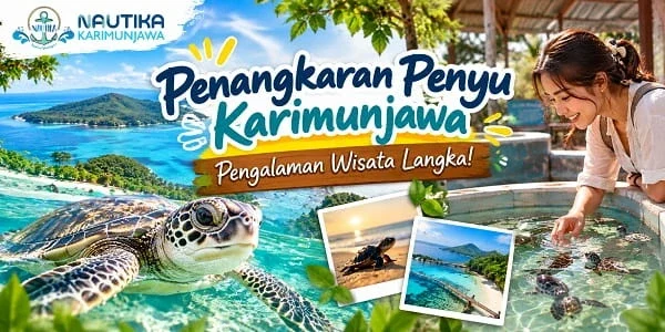 Penangkaran Penyu Karimunjawa