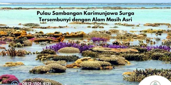 Pulau Sambangan Karimunjawa Surga Tersembunyi dengan Alam Masih Asri