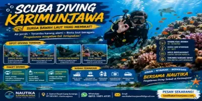 Scuba Diving Karimunjawa Menjelajah Surga Bawah Laut
