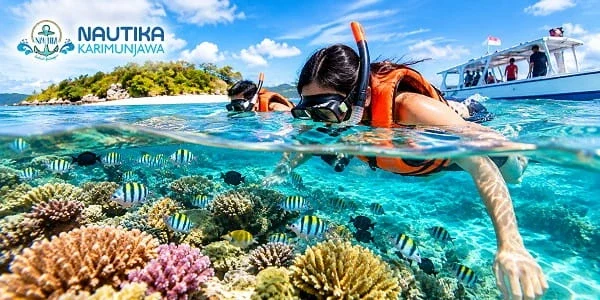Paket Snorkeling Menjangan Karimunjawa