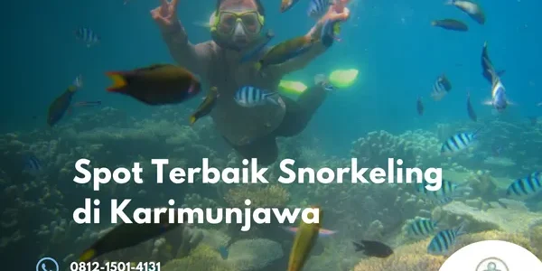 Tempat Snorkeling di Karimunjawa Spot Terbaik dengan Air Jernih