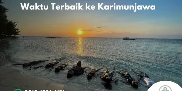 Waktu Terbaik ke Karimunjawa Agar Liburan Lebih Maksimal