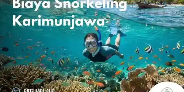 biaya snorkeling karimunjawa