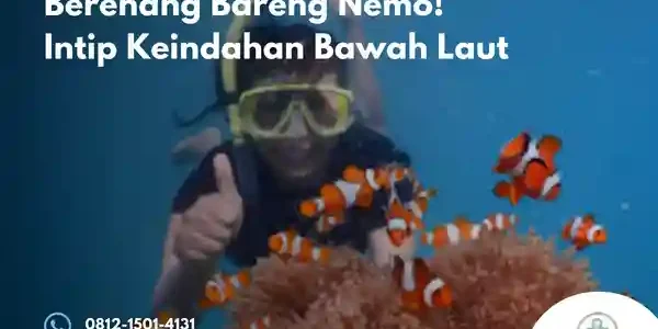 berenang bareng nemo