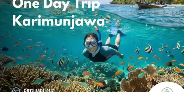 one day trip karimunjawa
