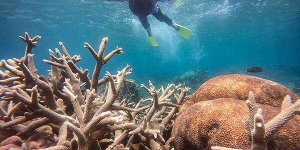 open trip karimunjawa