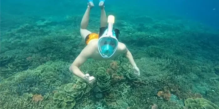 Liburan Open Trip Karimunjawa