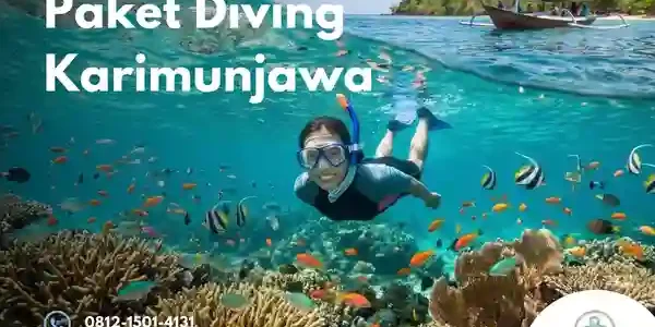 paket diving karimunjawa