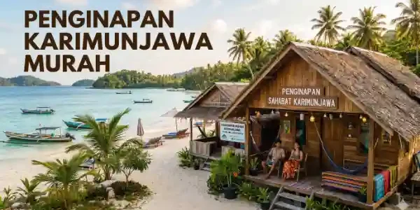 penginapan karimunjawa murah