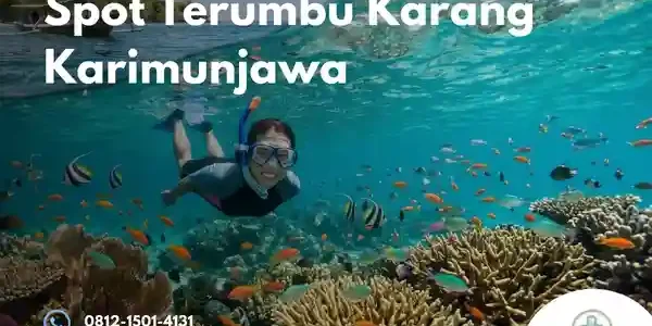 spot terumbu karang karimunjawa