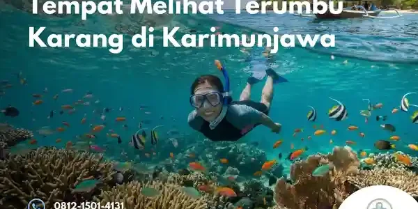 tempat terumbu karang karimunjawa